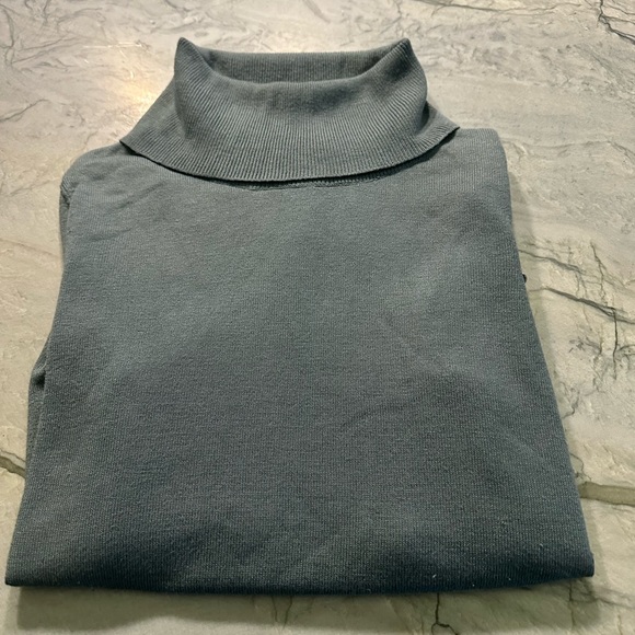 Ann Taylor Loft Turtle Neck Sweater - Picture 6 of 7